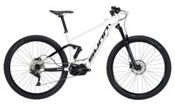 Sunn Gordon Hybrid S2 29