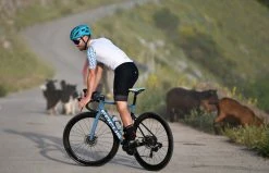 Limar - Maloja -Vélo Elegant Magasin 3222918823